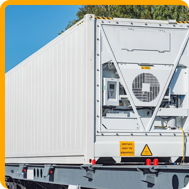 Cold Chain Logistics