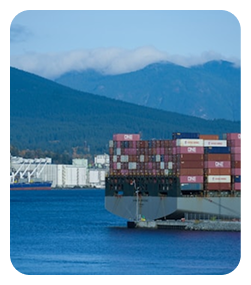 Sea Freight logistics execution